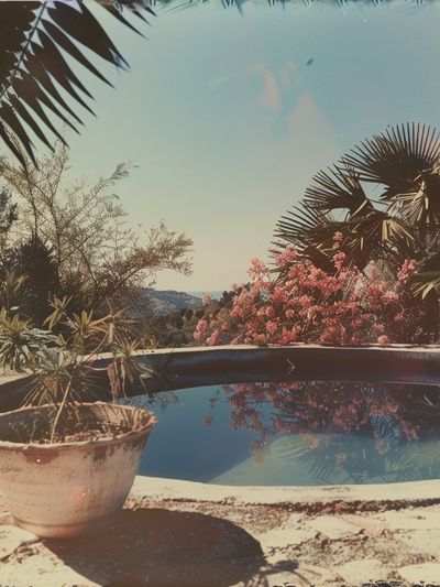 Mediterranean Poolside Garden Vintage Print. poster