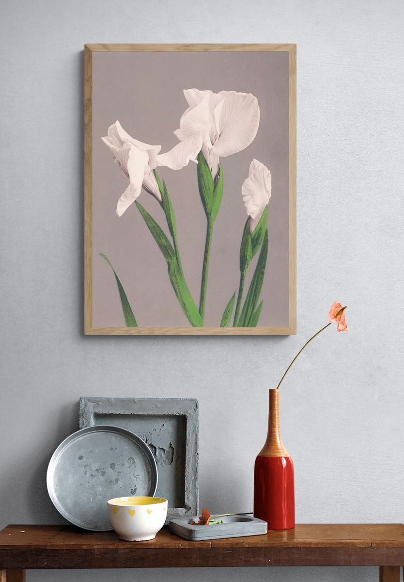 Beautiful photomechanical prints White Irises. — room view 3