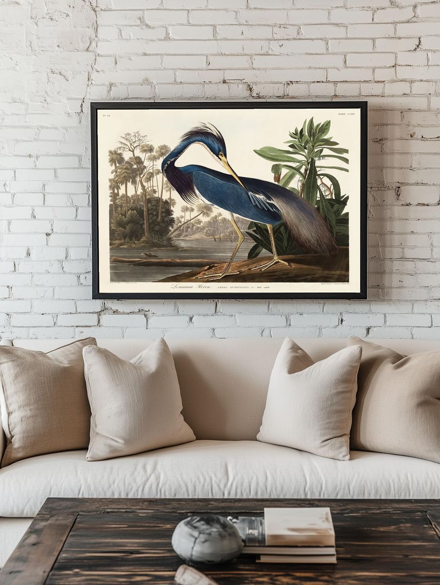 Louisiana Heron Vintage Print room preview