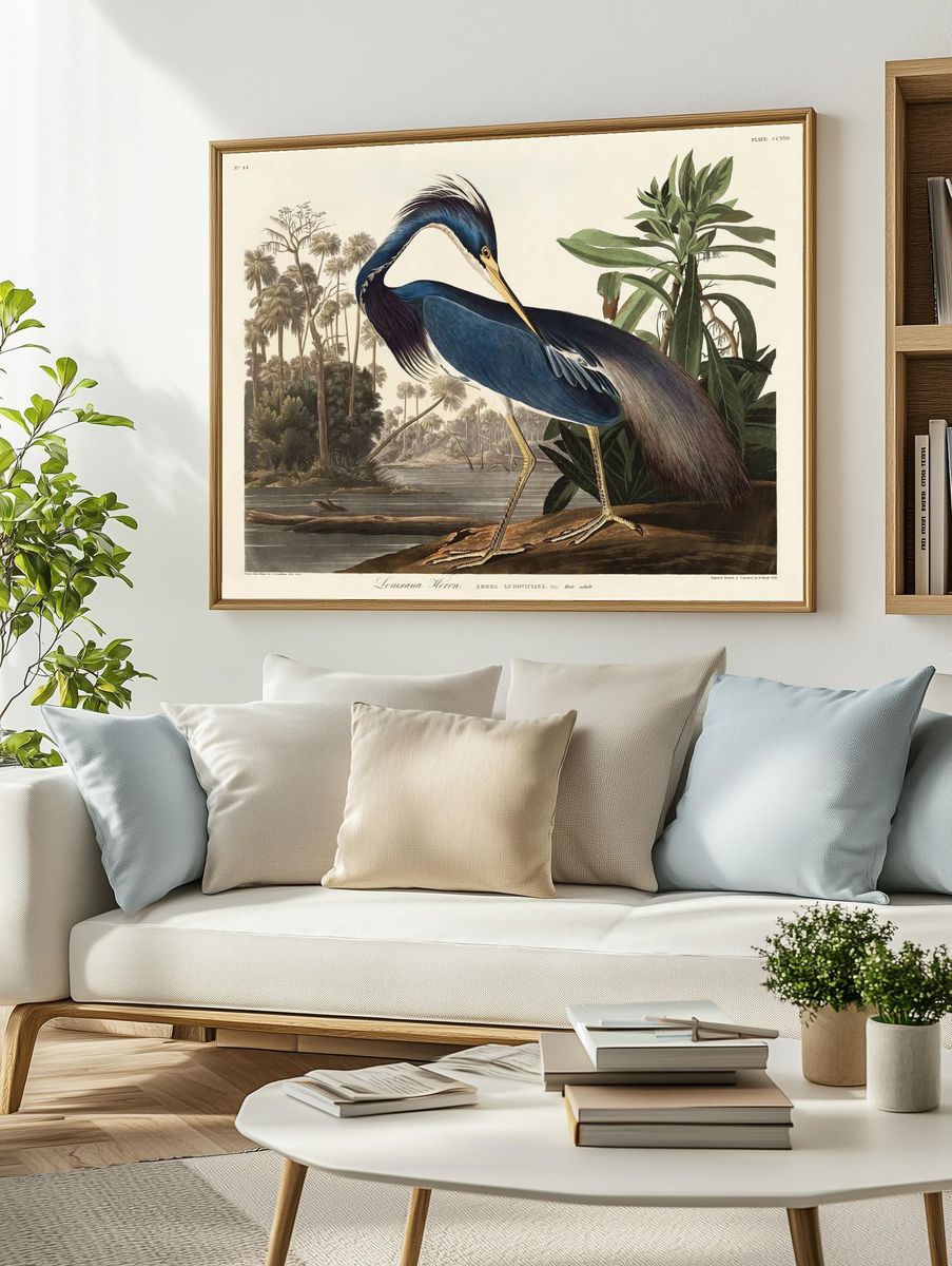 Louisiana Heron Vintage Print. — room view 2