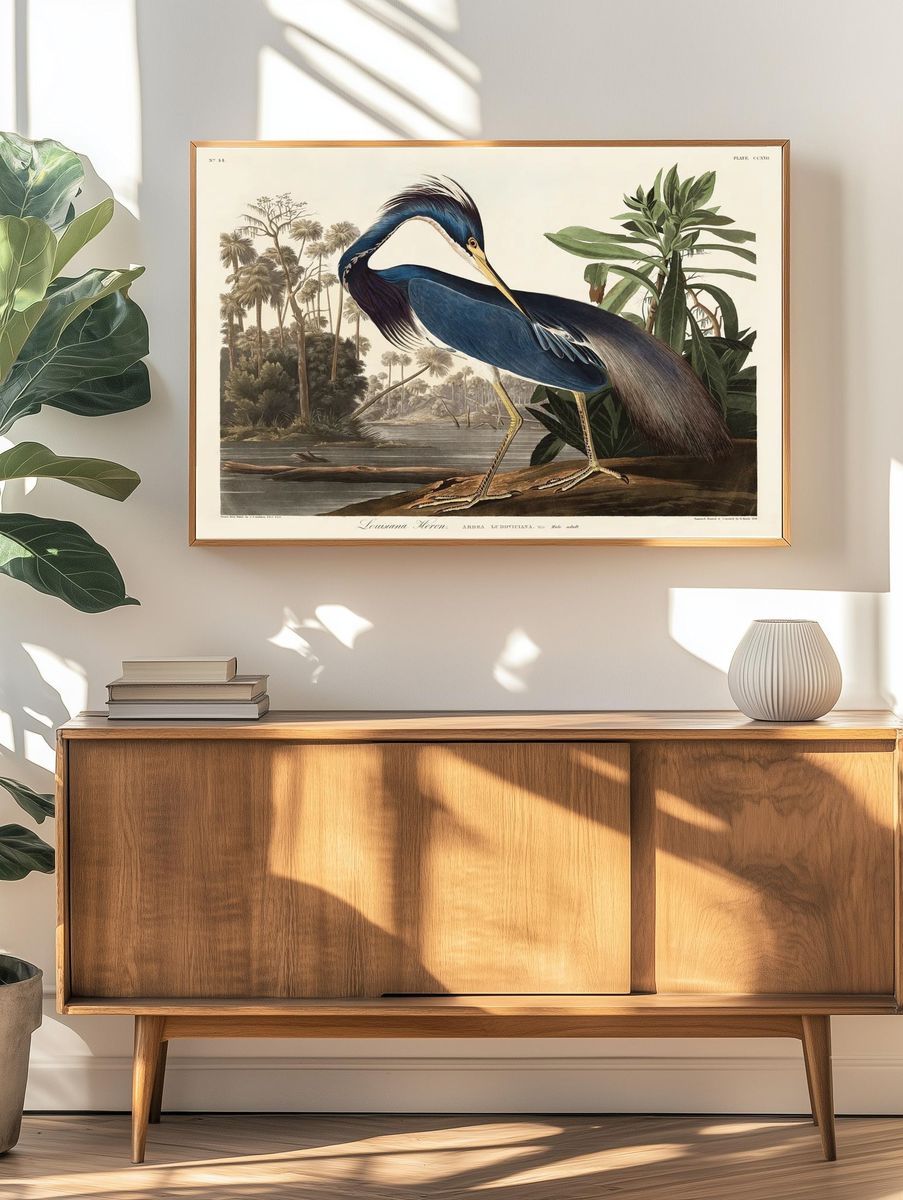 Louisiana Heron Vintage Print. — room view 3
