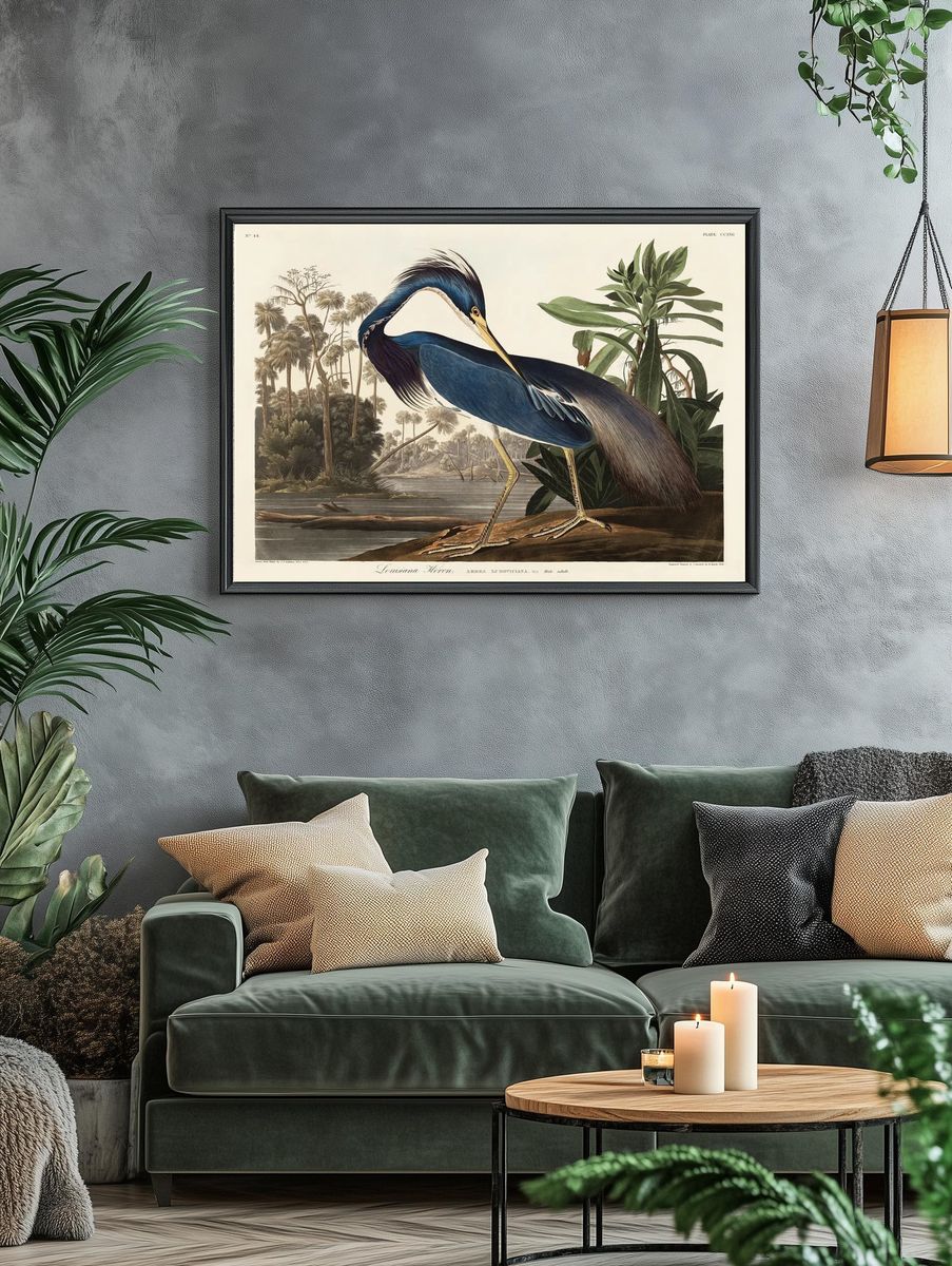 Louisiana Heron Vintage Print. — room view 4