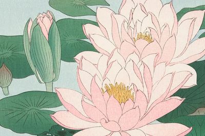 Lotus Flowers — Vintage Print