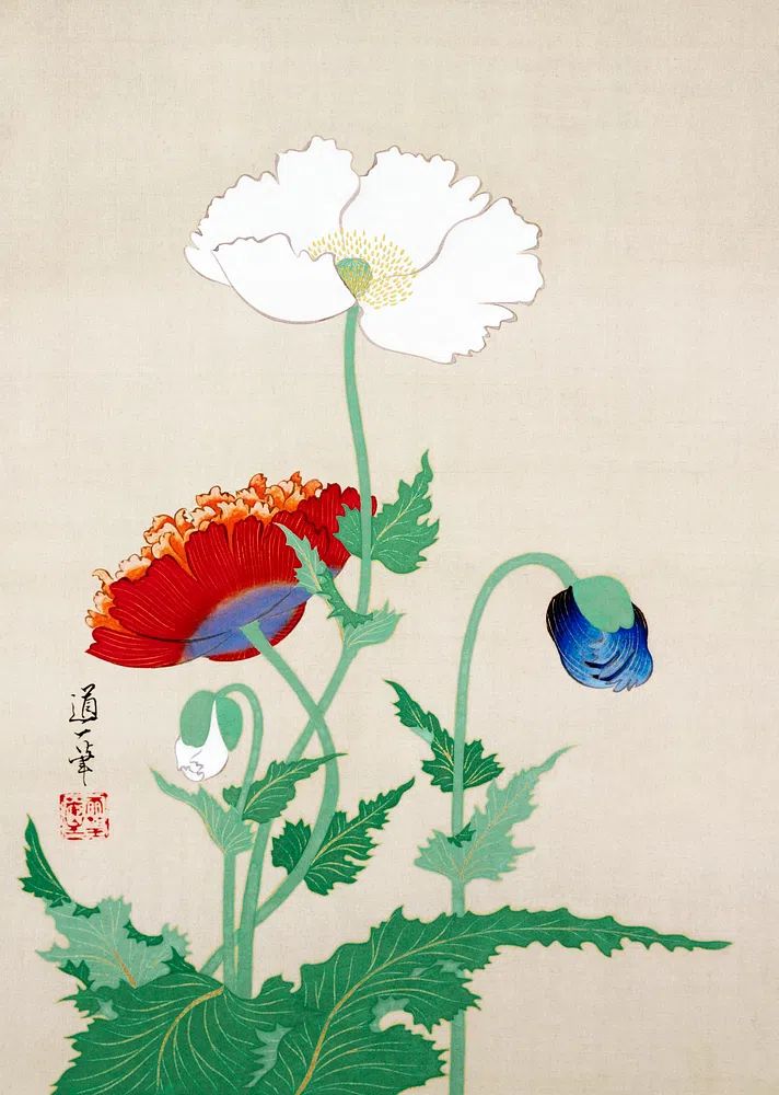 Poppy Flowers — Vintage Print. poster detail