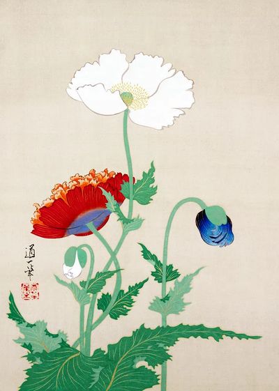 Poppy Flowers — Vintage Print. poster