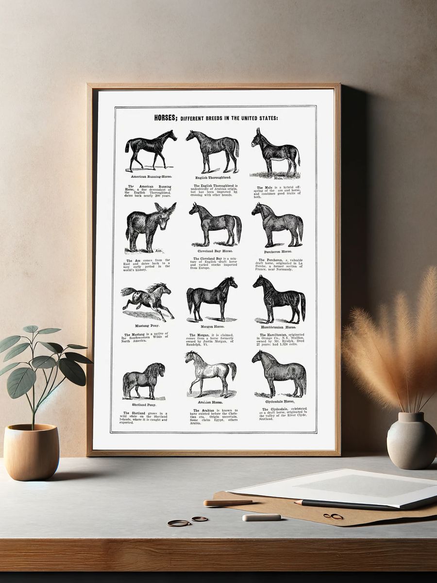 Vintage horse drawing. — room view 2