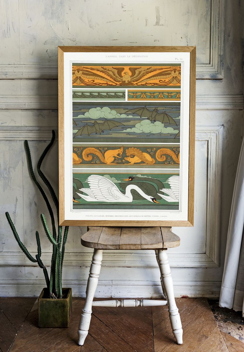 Oiseaux. Libellules. Mouches. Chauve-souris. écureuils. — room view 1