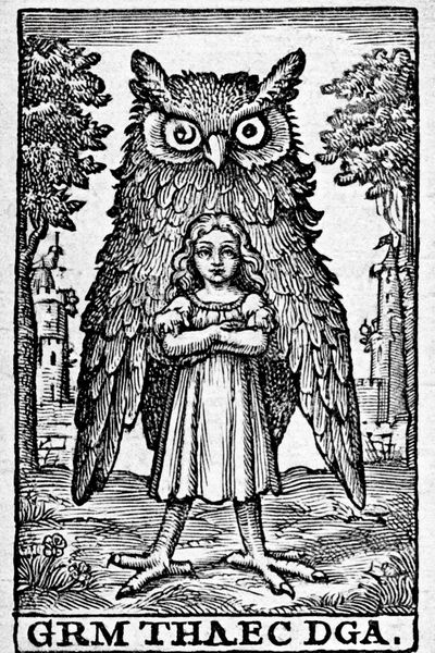 Owl and Girl Woodcut Poster.