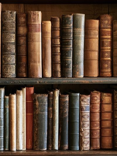 Antique Bookshelf Still Life Poster.