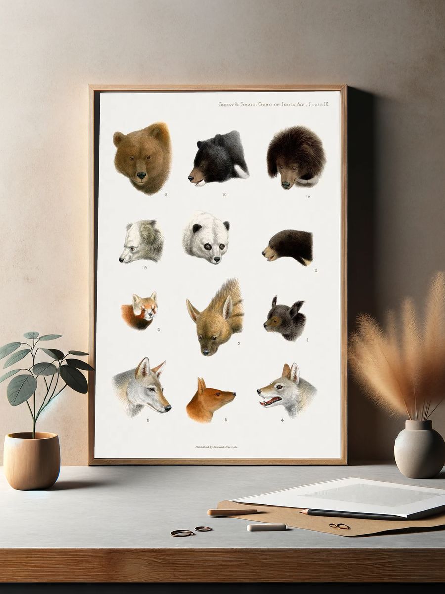 Vintage animal illustrations. — room view 2