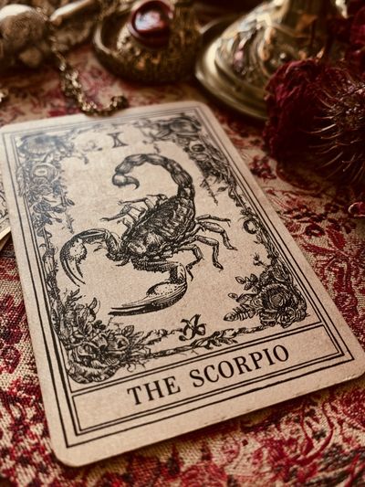 Scorpio Vintage Tarot Print. poster