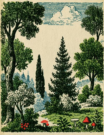 Forest Meadow Vintage Print.
