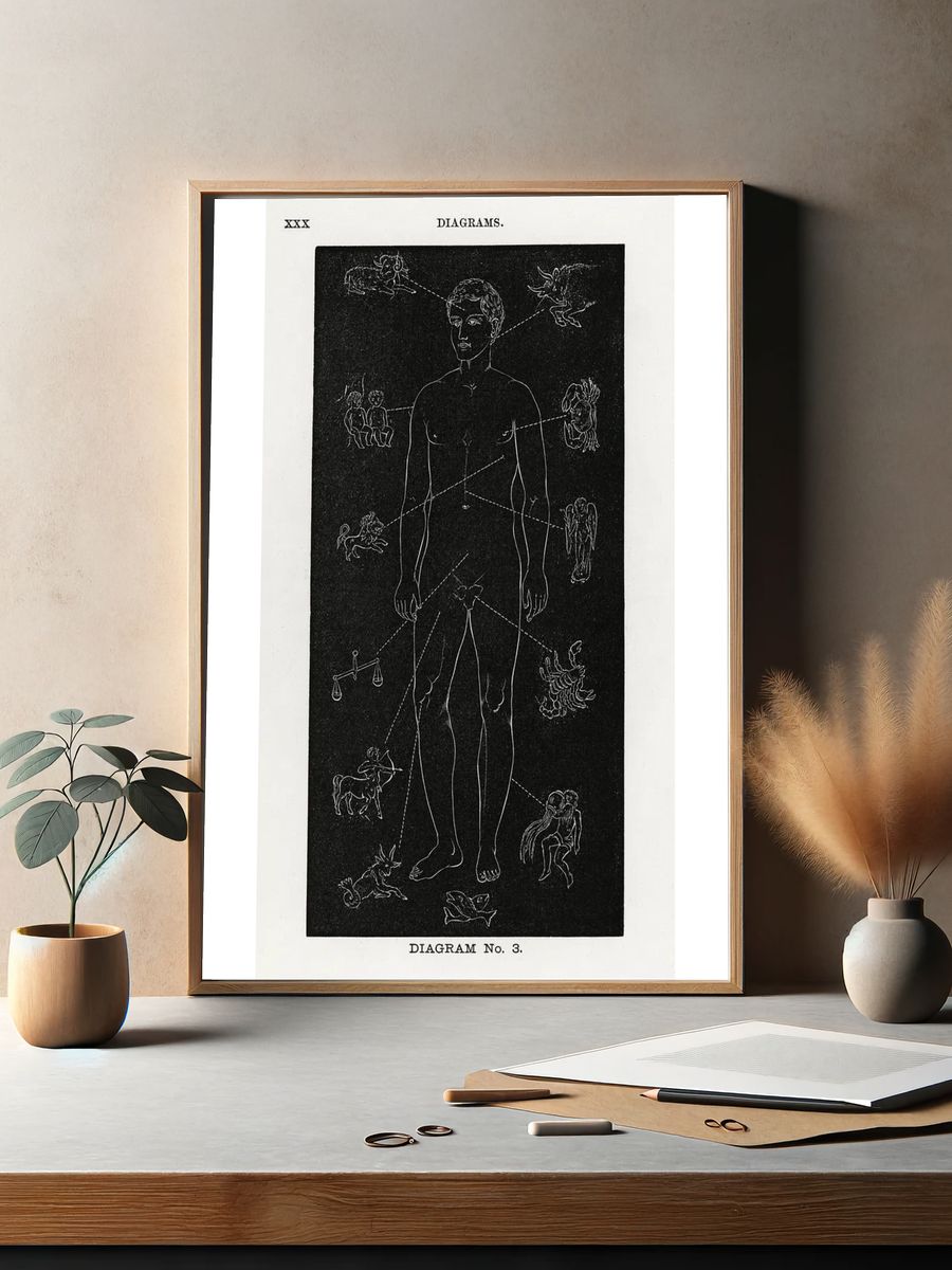 Diagram no.3 print high resolution. — room view 2