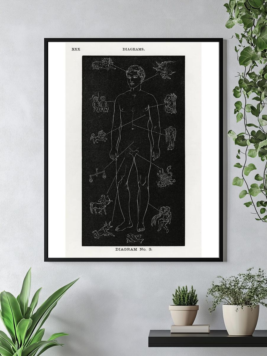 Diagram no.3 print high resolution. — room view 4