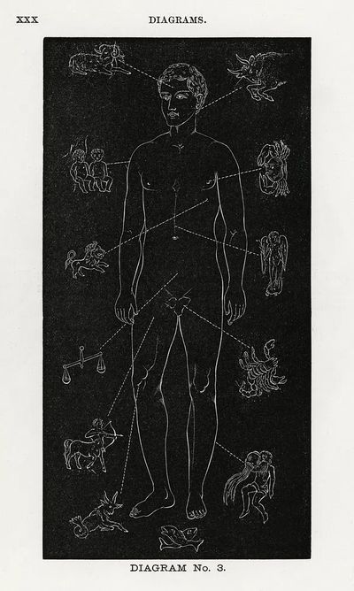Diagram no.3 print high resolution