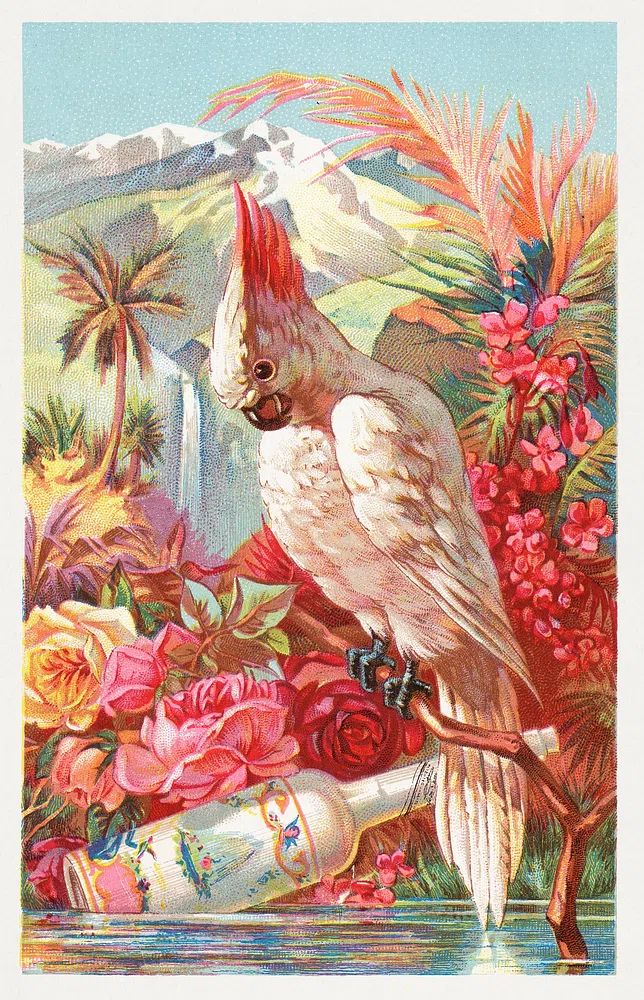 Florida Water, Murray & Lanman. poster — vintage art