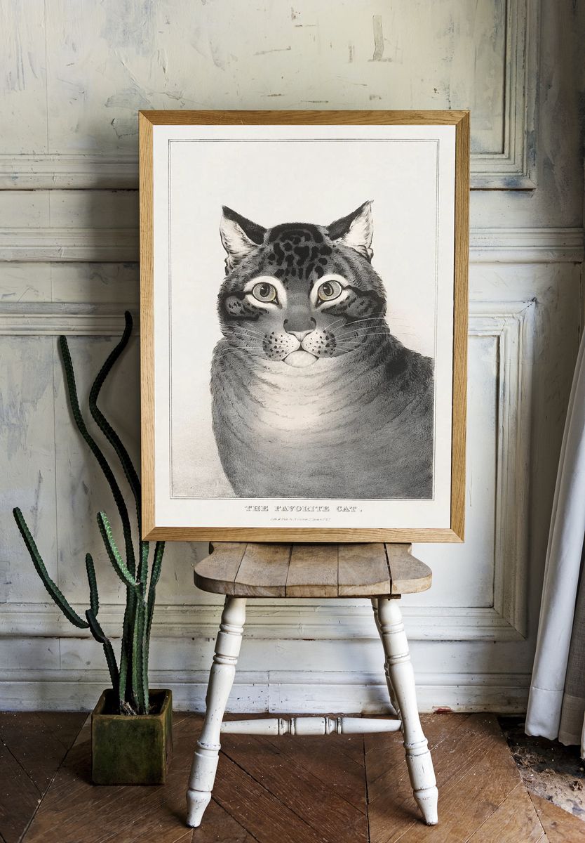 The Favorite Cat Vintage Print. — room view 1