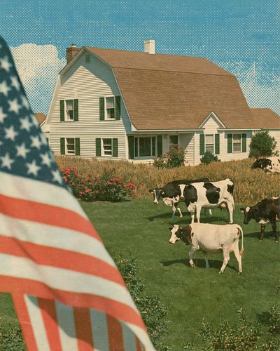 American Farmhouse Cows Vintage Poster.