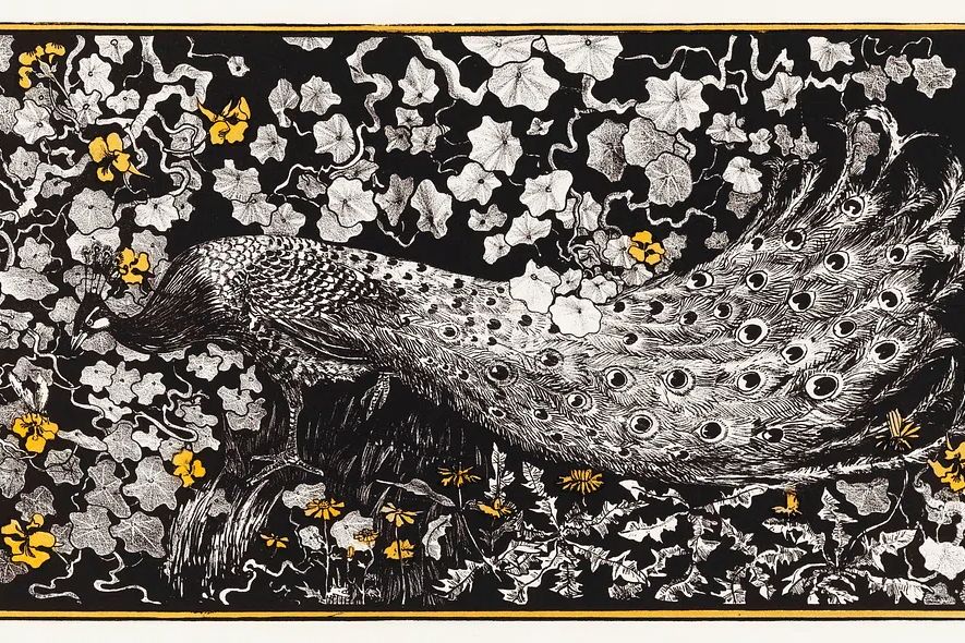 Peacock and Ivy — Vintage Print. poster detail
