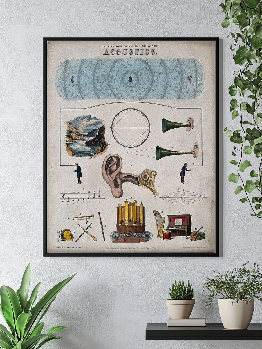 Acoustics — Vintage Print. — room view 4