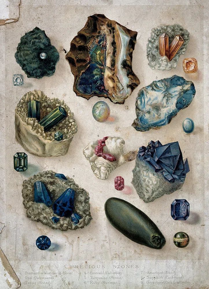 Precious Stones — Vintage Print. poster — vintage art