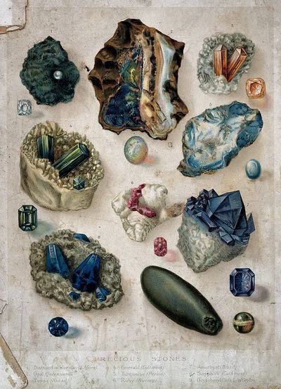Precious Stones — Vintage Print
