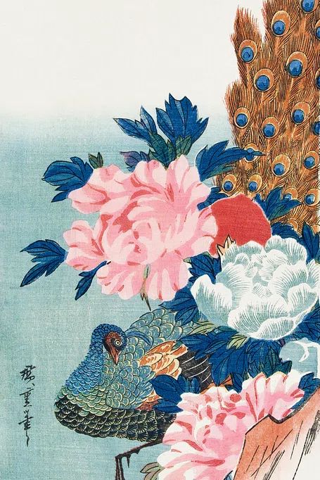 Peacock and Flowers — Vintage Print. poster — vintage art
