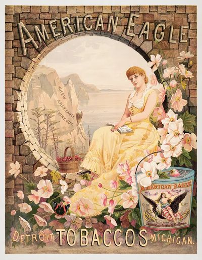 American eagle, chew American eagle. poster