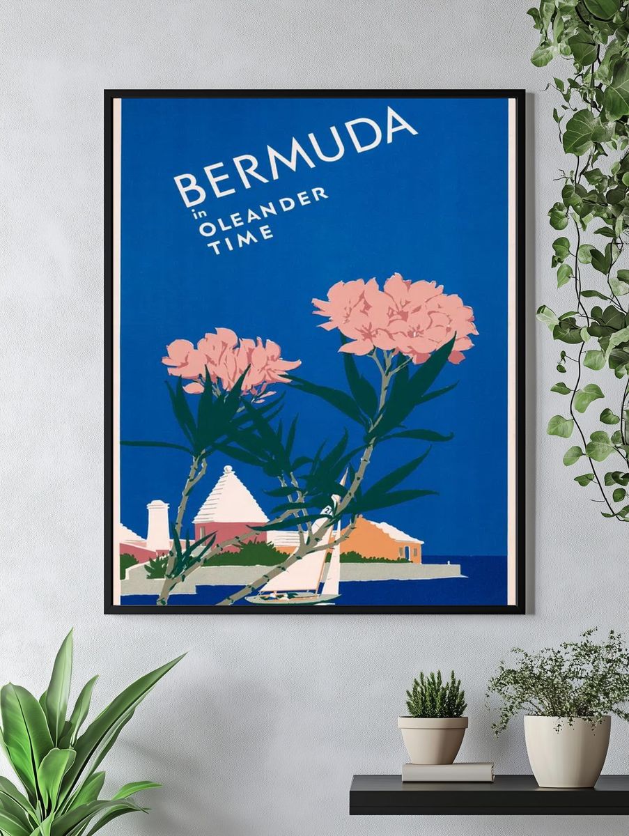 Bermuda oleander time (1952) Adolph. — room view 4