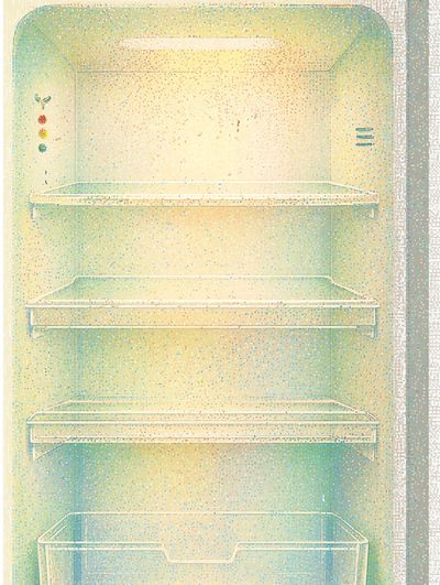Retro Refrigerator Interior Poster.