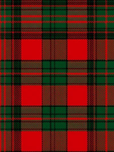 Red and Green Tartan Pattern Poster. poster
