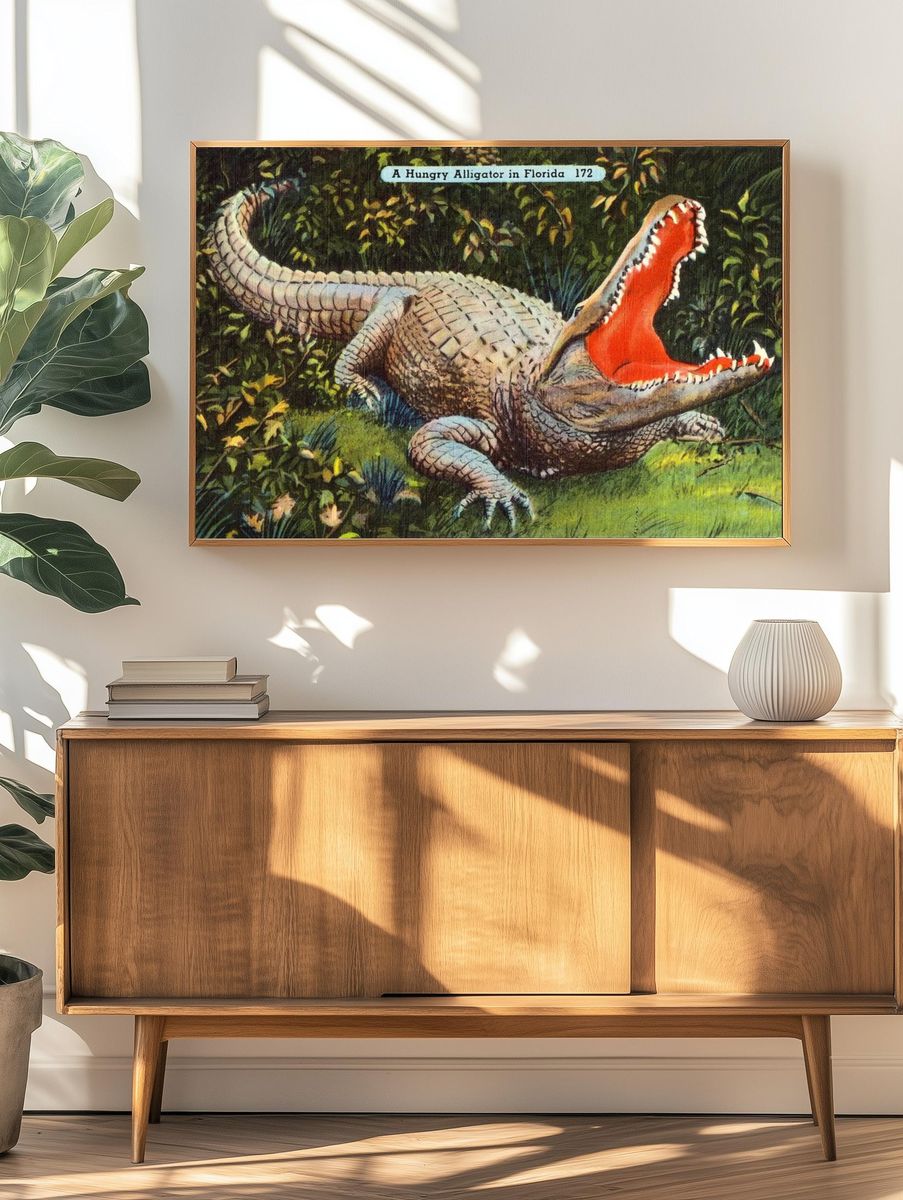 A Hungry Alligator in Florida — Vintage Print. — room view 3