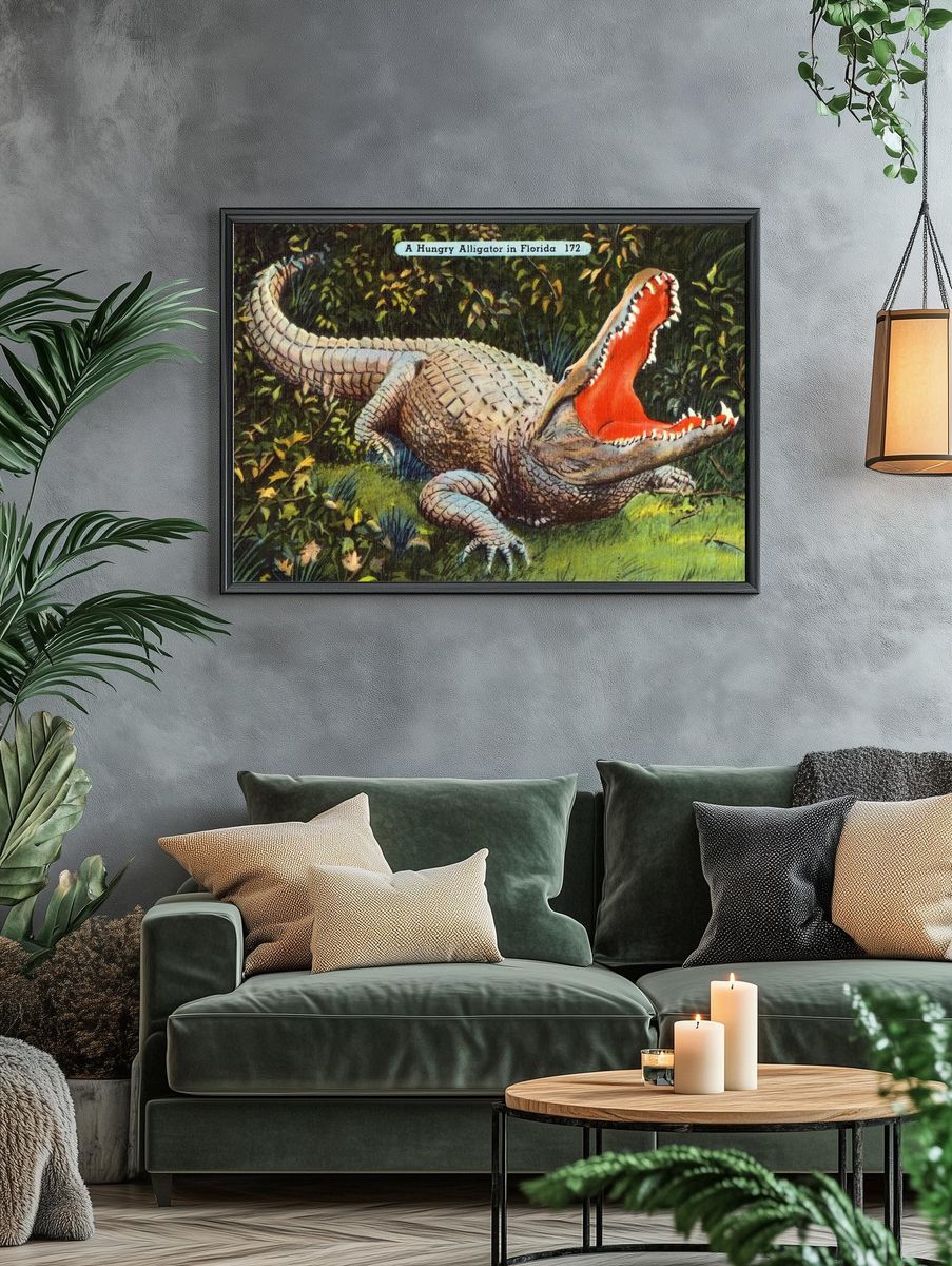 A Hungry Alligator in Florida — Vintage Print. — room view 4