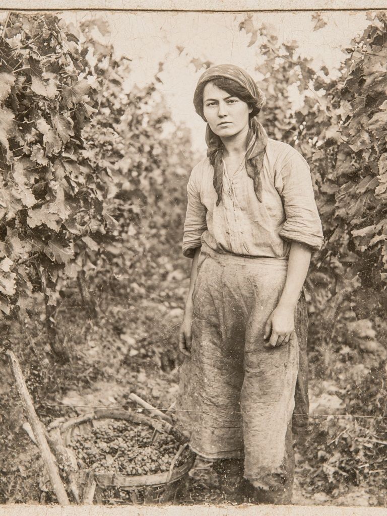 Vintage Vineyard Worker Portrait Print. poster detail