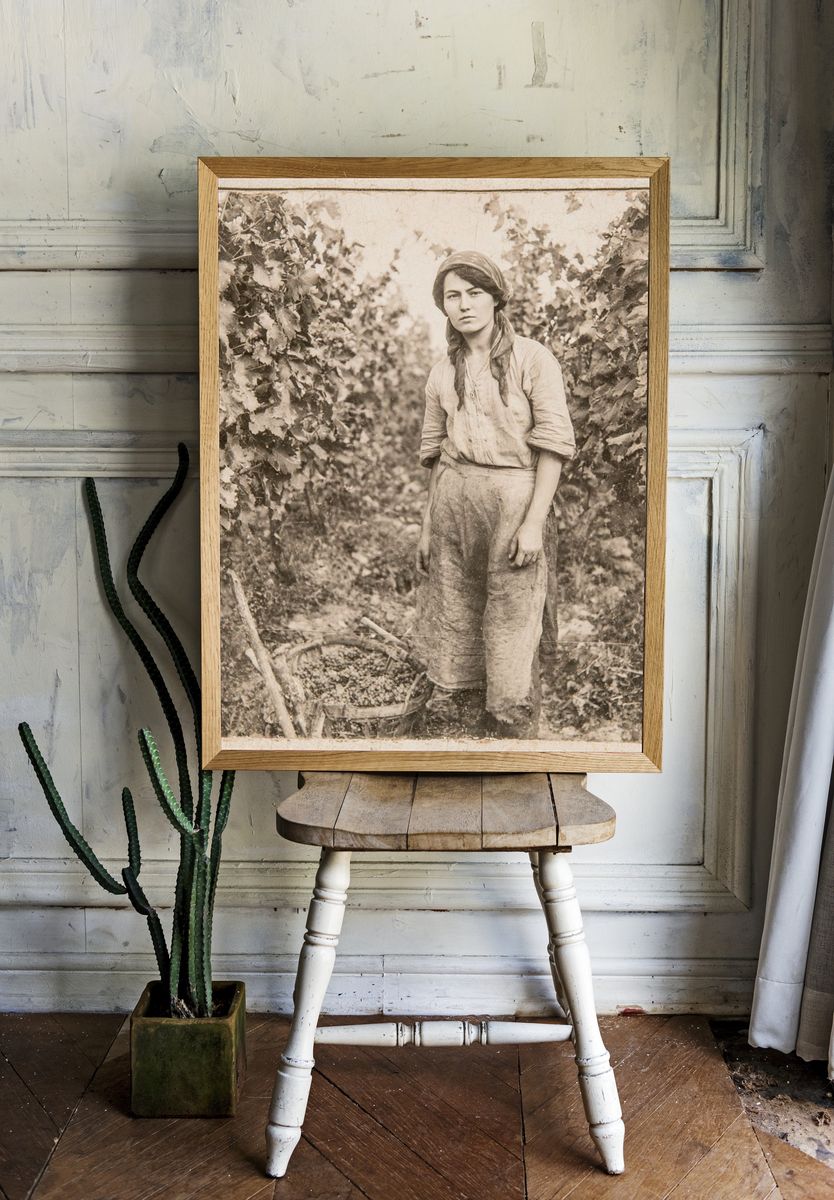 Vintage Vineyard Worker Portrait Print. room preview