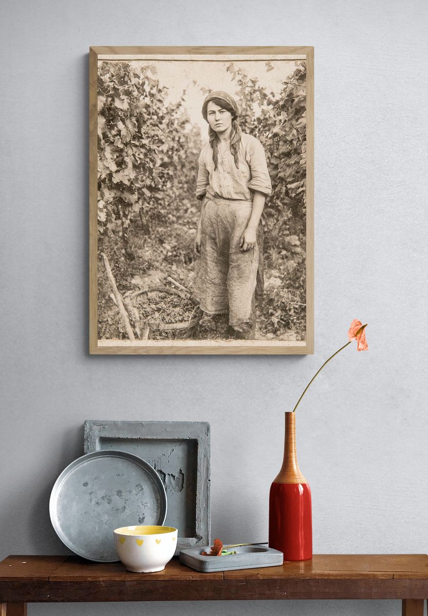 Vintage Vineyard Worker Portrait Print. — room view 3