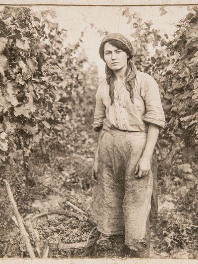 Vintage Vineyard Worker Portrait Print.