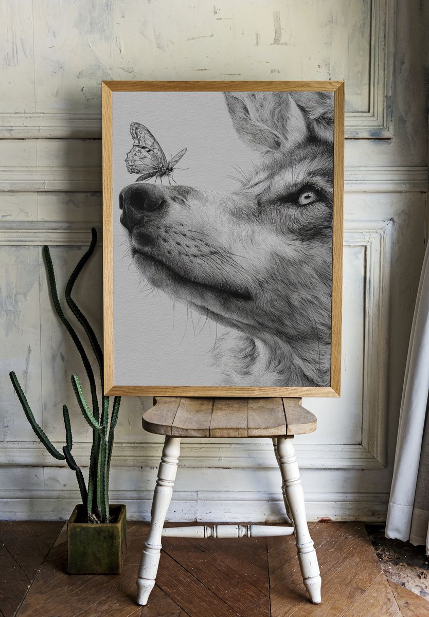 Wolf and Butterfly — Illustration Print. — room view 1