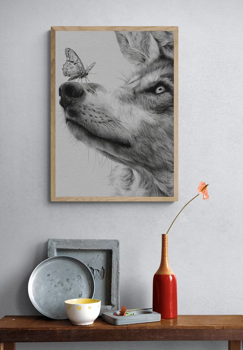 Wolf and Butterfly — Illustration Print. — room view 3