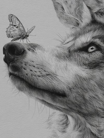 Wolf and Butterfly — Illustration Print. poster print