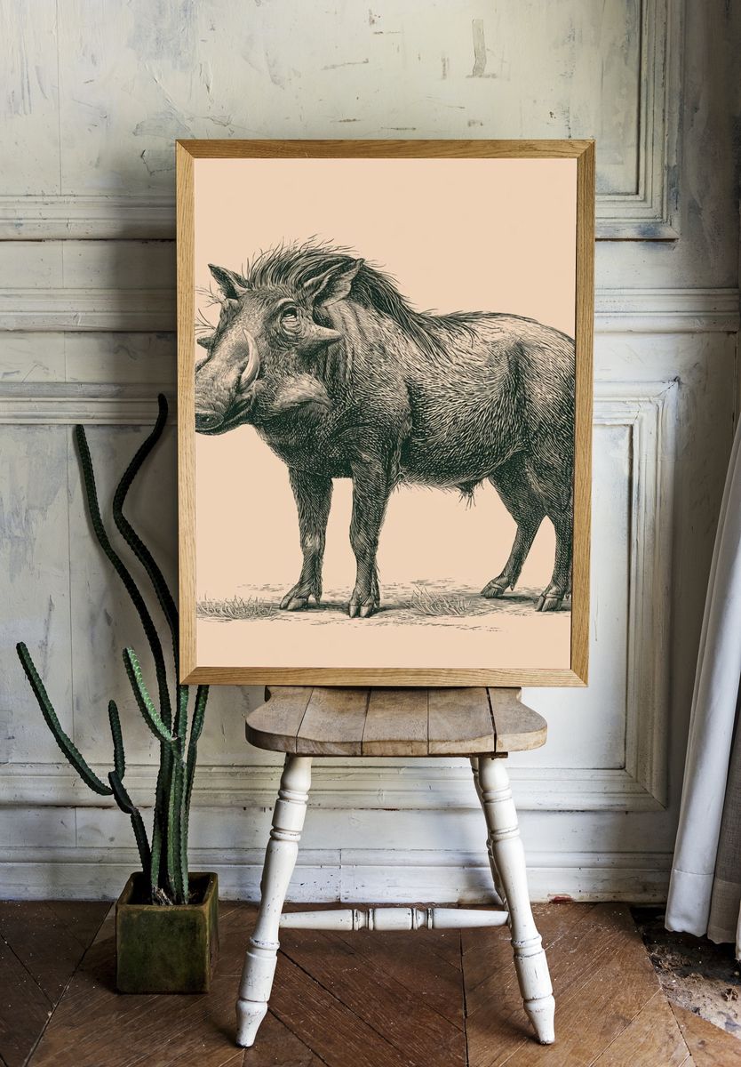 Warthog Vintage Illustration Poster. — room view 1