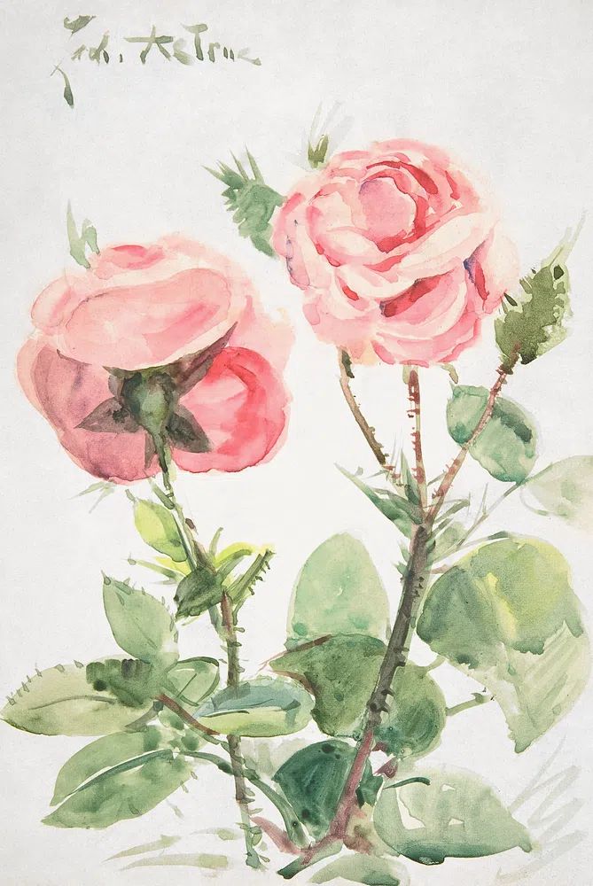 Pink Roses — Watercolor Print. poster detail