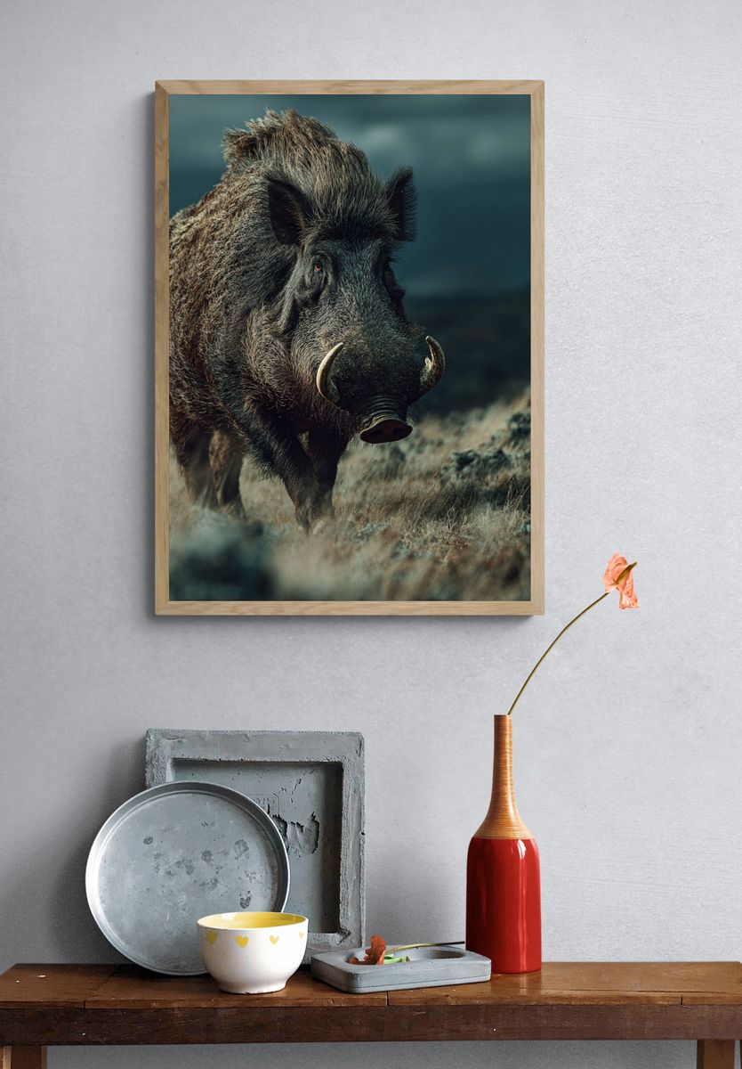 Wild Boar Portrait Photography Poster. — room view 3