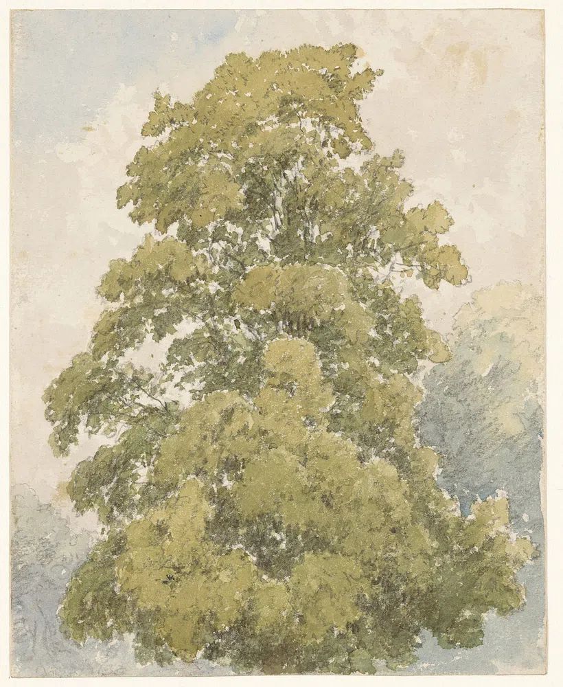 Lush Green Tree — Watercolor Print. poster — nature art