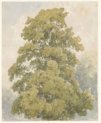 Lush Green Tree — Watercolor Print. poster