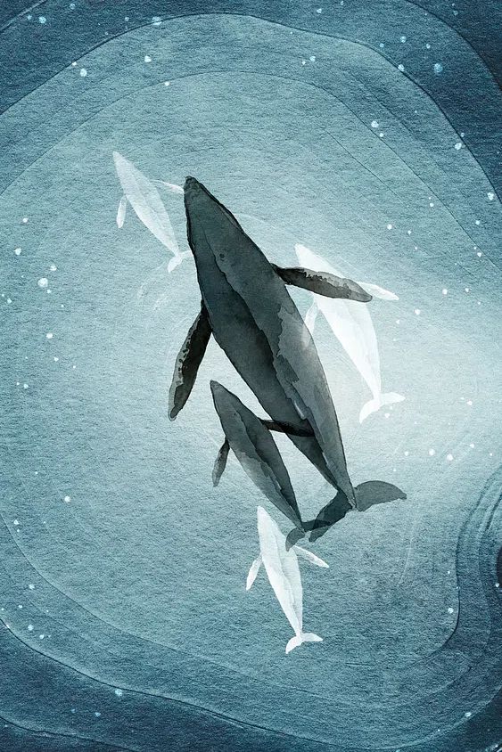 Whales in Deep Blue — Watercolor Print. poster — nature art