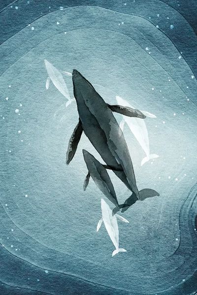 Whales in Deep Blue — Watercolor Print. poster