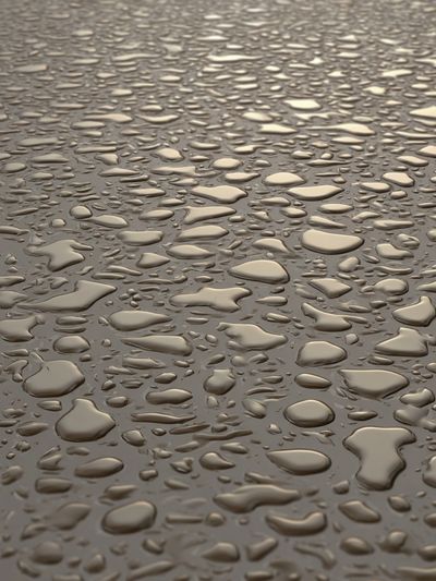 Water Droplets on Surface — Photography Print. poster