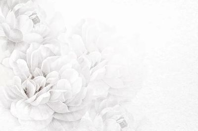 White Floral Watercolor Poster. poster