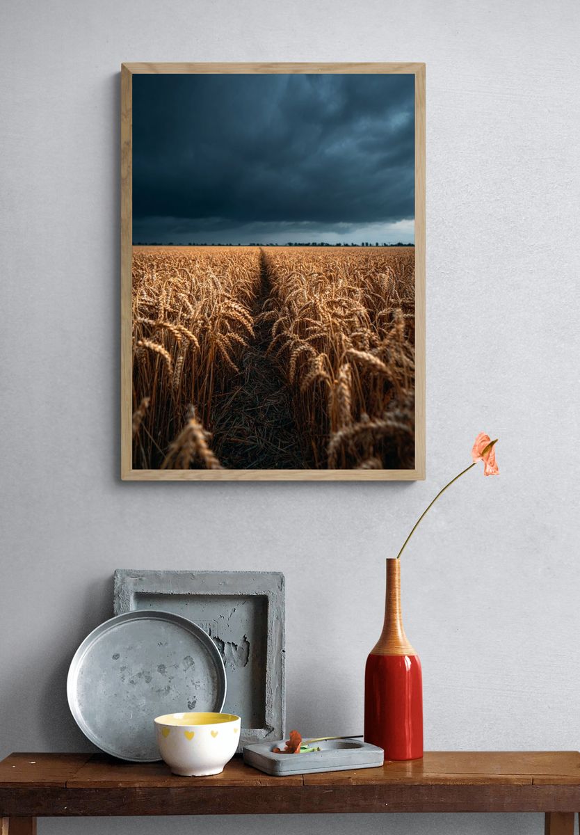 Golden Wheat Field — Photography Print. — room view 3
